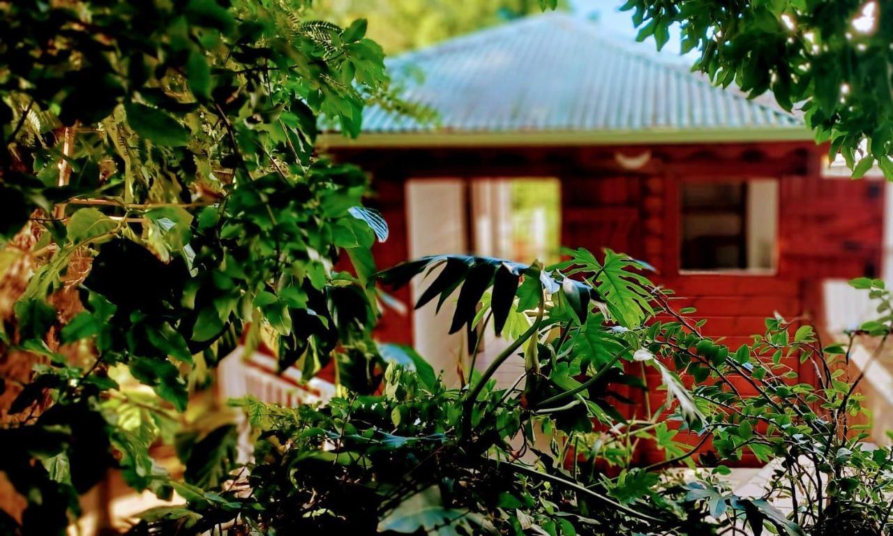 Gite Mamour - Charmant Petit Bungalow A Decouvrir Baillif Zewnętrze zdjęcie